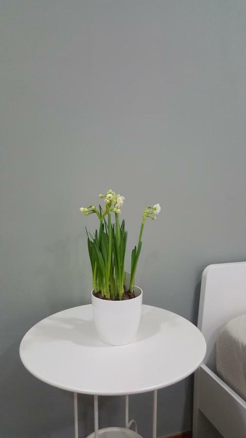 Il Giardino Sul Corso Apartment Scafati Exterior photo